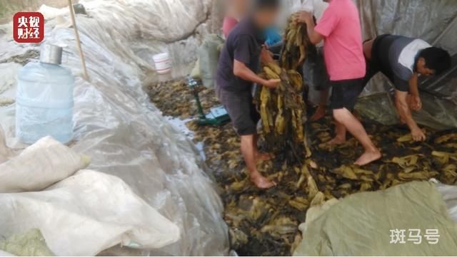 你吃的老坛酸菜可能是光脚踩出来的(3月15日晚会曝光)(图2) 你吃的老坛酸菜可能是光脚踩出来的(3月15日晚会曝光)(图2)