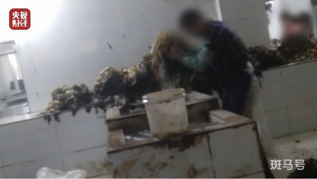 你吃的老坛酸菜可能是光脚踩出来的(3月15日晚会曝光)(图7) 你吃的老坛酸菜可能是光脚踩出来的(3月15日晚会曝光)(图7)