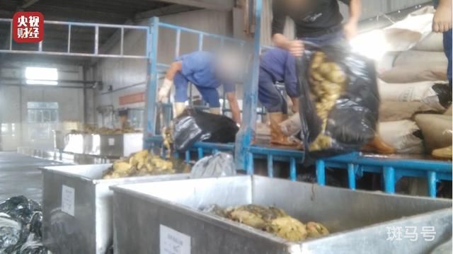 你吃的老坛酸菜可能是光脚踩出来的(3月15日晚会曝光)(图8) 你吃的老坛酸菜可能是光脚踩出来的(3月15日晚会曝光)(图8)