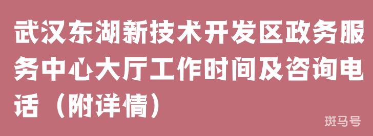 武汉东湖新技术开发区政务服务中心大厅工作时间及咨询电话（附详情）(图1)