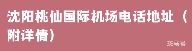 沈阳桃仙国际机场电话地址（附详情）(图1)