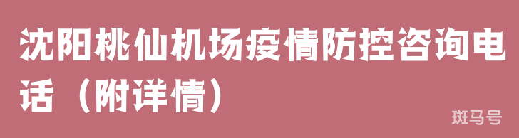 沈阳桃仙机场疫情防控咨询电话（附详情）(图1)
