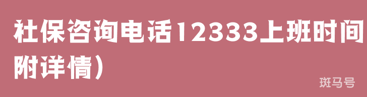 社保咨询电话12333上班时间(附详情)(图1) 社保咨询电话12333上班时间(附详情)(图1)