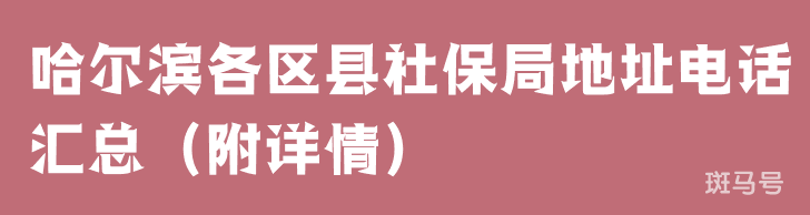 哈尔滨各区县社保局地址电话汇总（附详情）