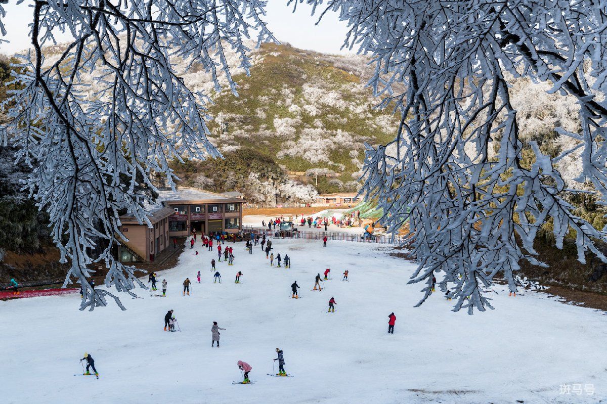 重庆南川金佛山滑雪场景区电话汇总（附详情）(图2)