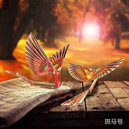 二十个创业项目分享(2022创业的项目有哪些项目)(图20) 一百个创业项目大分享(一),想赚钱的别错过,总有一个适合你
