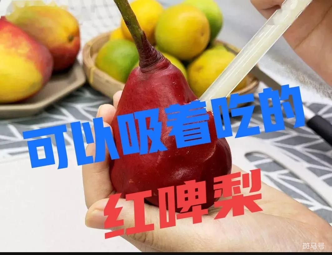 “水果中的冰淇淋”—红啤梨，个大核小，卖价高，致富好项目