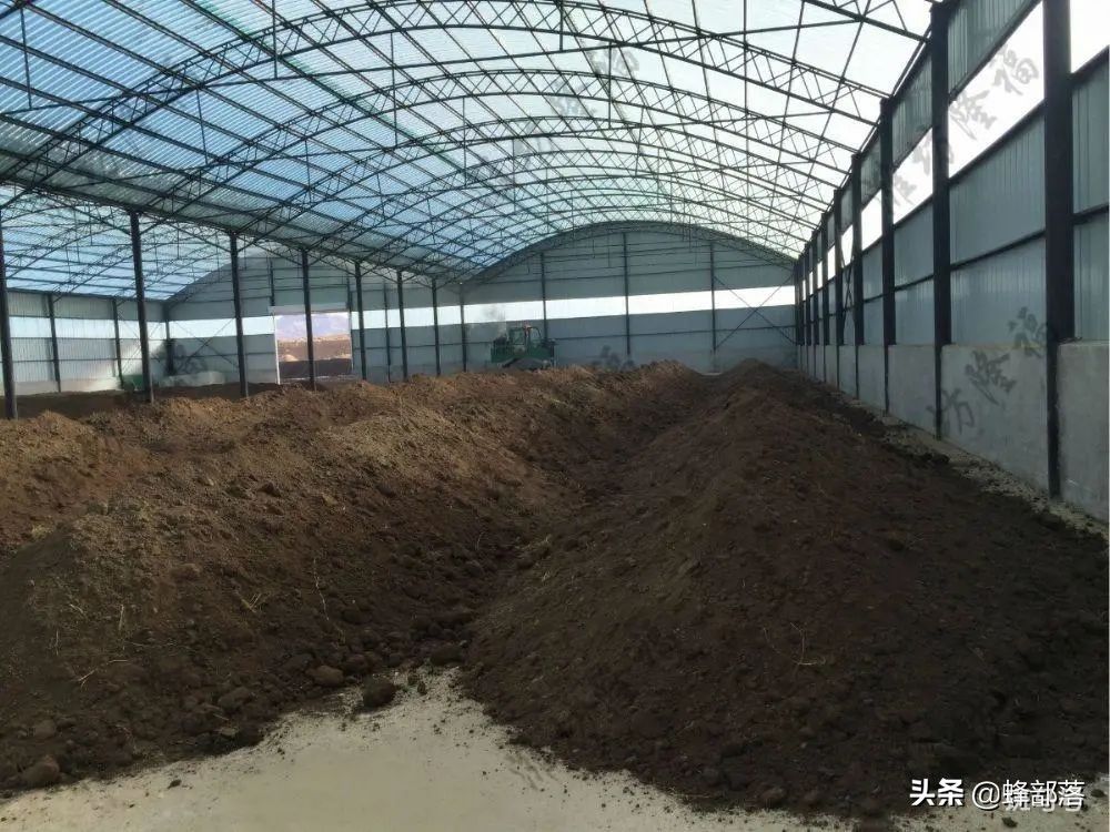 分享十个适合农村创业项目(农村创业项目排行榜前十名)(图2) 在农村,这10个项目能赚钱,国家还有补贴,看看你适合哪些?