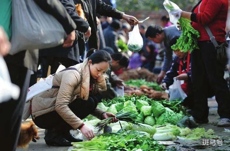 在农村，如何做才能更轻松赚到钱？这里有你想要的答案