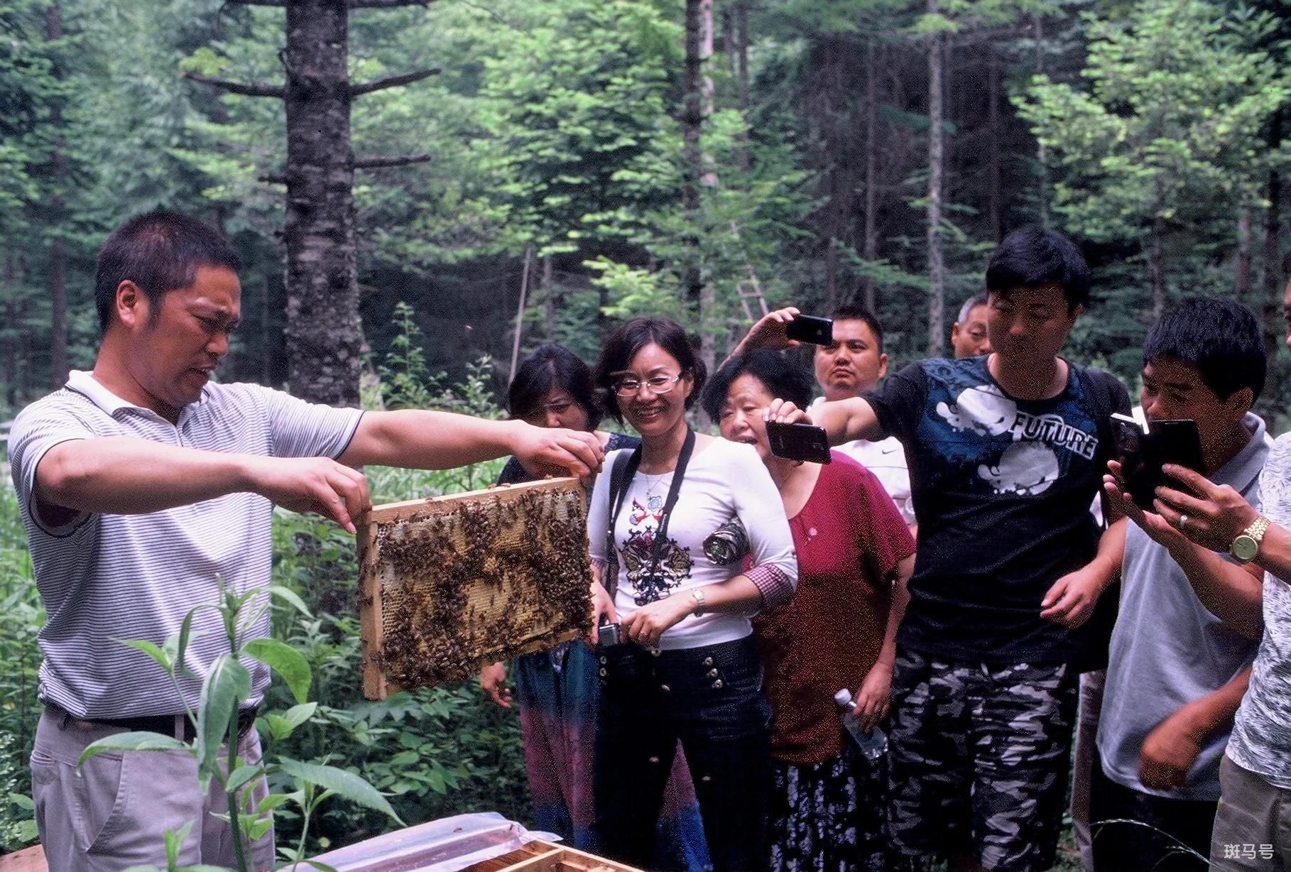 在农村，如何做才能更轻松赚到钱？这里有你想要的答案