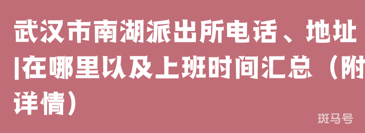 武汉市南湖派出所电话、地址|在哪里以及上班时间汇总（附详情）