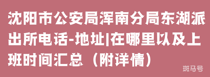 沈阳市公安局浑南分局东湖派出所电话-地址|在哪里以及上班时间汇总（附详情）