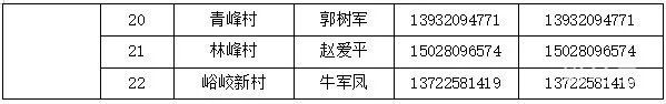 邯郸涉县各村和社区报备电话汇总（附详情）(图21)