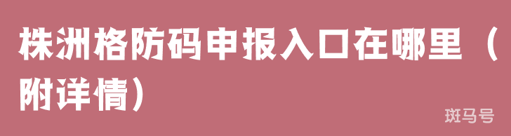 株洲格防码申报入口在哪里（附详情）