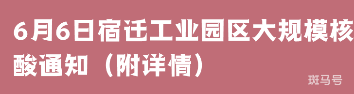 6月6日宿迁工业园区大规模核酸通知（附详情）