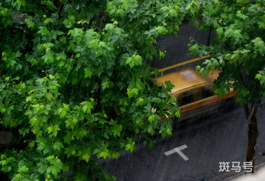 2022年下半年雨水多不多（雨季会持续多久）