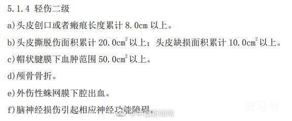 什么是轻伤二级?评定标准来了(图2) 什么是轻伤二级?评定标准来了(图2)