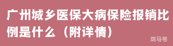 广州城乡医保大病保险报销比例是什么（附详情）