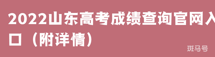 2022山东高考成绩查询官网入口（附详情）