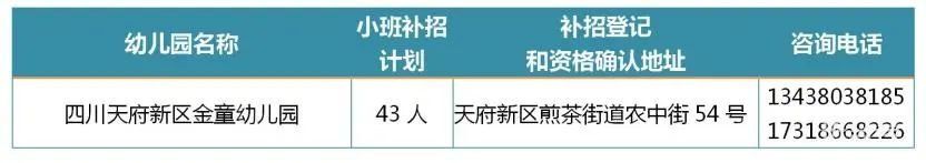 2022年四川天府新区第二批次幼儿园小班补招公告（附详情）(图4)