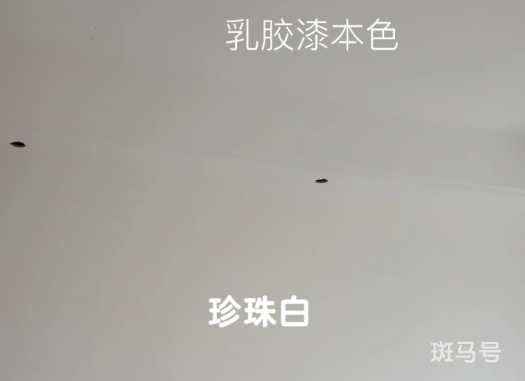 立邦珍珠白墙面漆效果图2