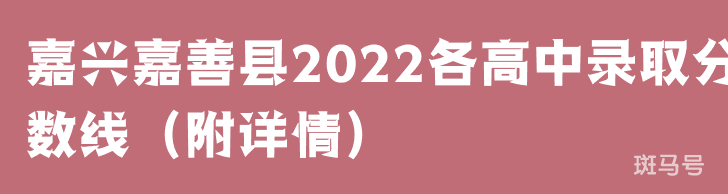 嘉兴嘉善县2022各高中录取分数线(附详情)(图1) 嘉兴嘉善县2022各高中录取分数线(附详情)(图1)