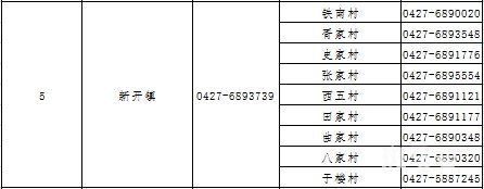 2022盘锦大洼区各镇街社区疫情防控咨询返乡报备电话汇总（附详情）(图6)