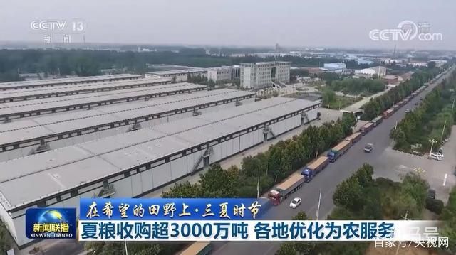 夏粮收购超3000万吨 各地优化为农服务(图1)