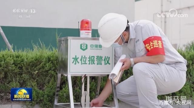 夏粮收购超3000万吨 各地优化为农服务(图3)