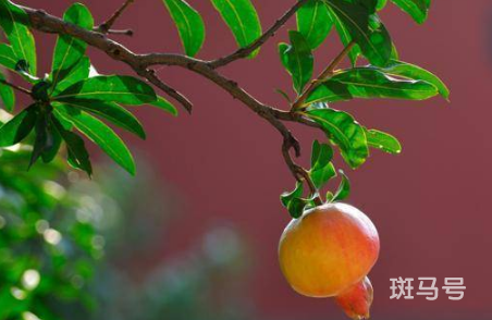 2022白露的时候还热吗2