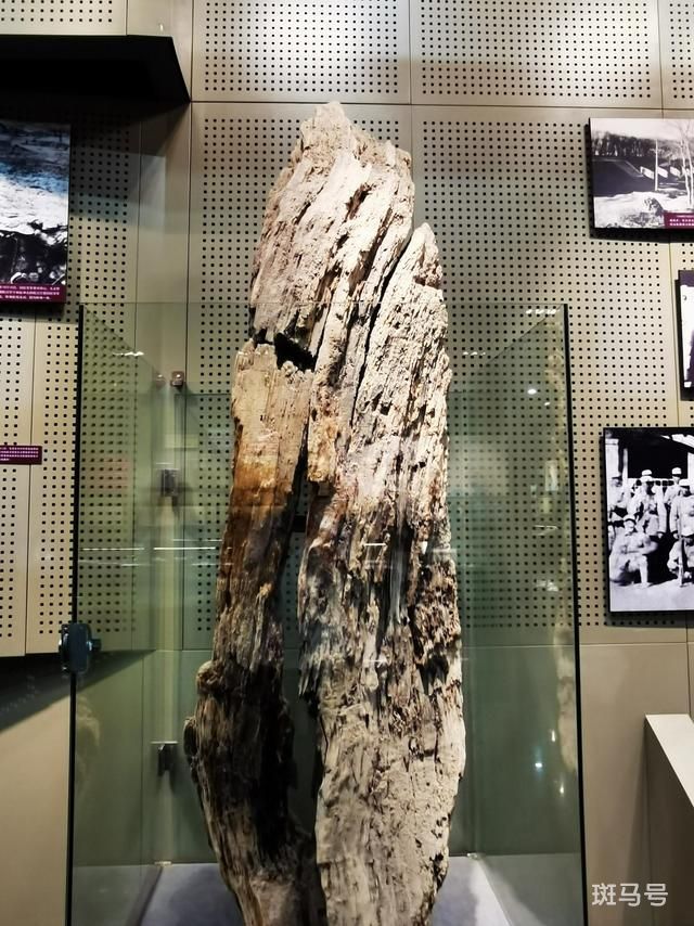 从一座纪念馆看克敌制胜法宝（跟着总书记学历史）(图3)