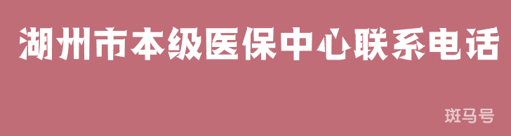 湖州市本级医保中心联系电话（附详情）