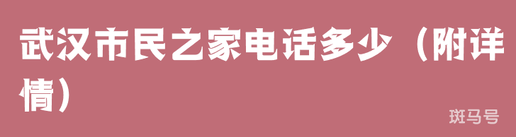 武汉市民之家电话多少（附详情）