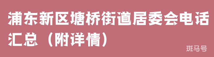 浦东新区塘桥街道居委会电话汇总（附详情）