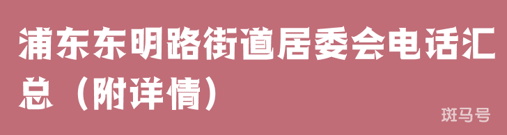 浦东东明路街道居委会电话汇总（附详情）