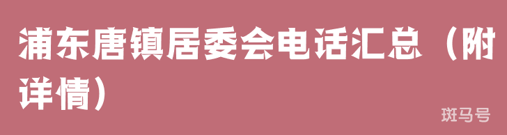 浦东唐镇居委会电话汇总（附详情）