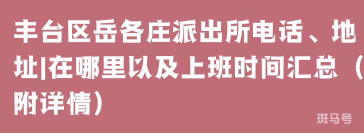 丰台区岳各庄派出所电话、地址|在哪里以及上班时间汇总（附详情）