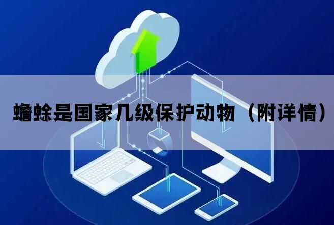 蟾蜍是国家几级保护动物(附详情) 蟾蜍是国家几级保护动物(附详情)