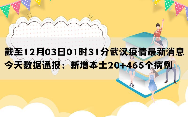 截至12月03日01时31分武汉疫情最新消息今天数据通报：新增本土20+465个病例