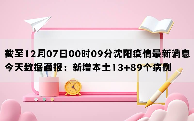 截至12月07日00时09分沈阳疫情最新消息今天数据通报：新增本土13+89个病例(图1)