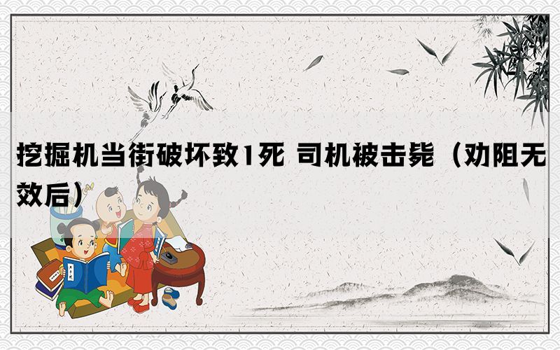 挖掘机当街破坏致1死 司机被击毙（劝阻无效后）(图1)