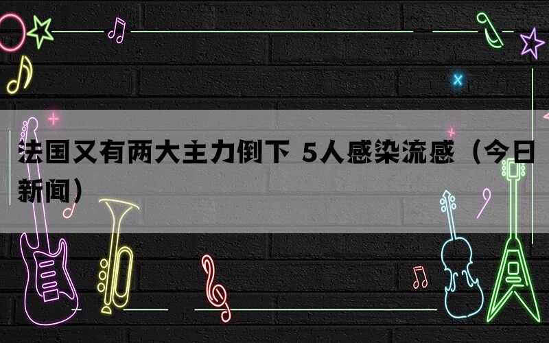 法国又有两大主力倒下 5人感染流感（今日新闻）(图1)