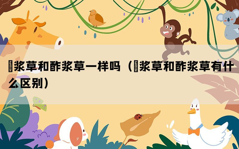 醡浆草和酢浆草一样吗（醡浆草和酢浆草有什么区别）(图1)