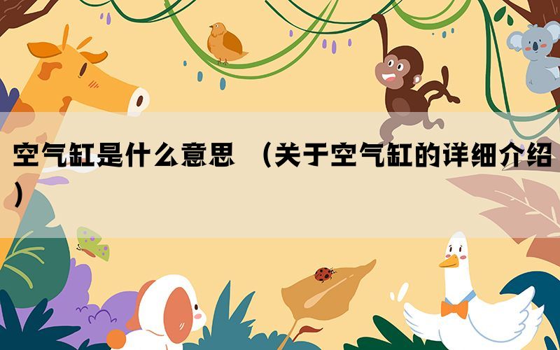 空气缸是什么意思 （关于空气缸的详细介绍）