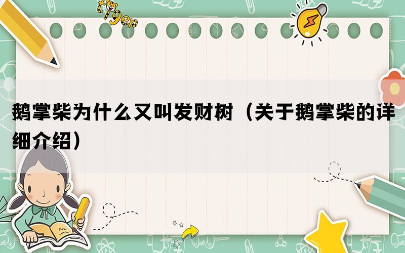 鹅掌柴为什么又叫发财树（关于鹅掌柴的详细介绍）(图1)