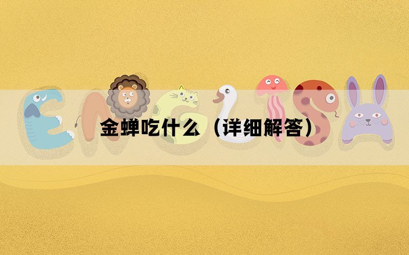 金蝉吃什么（详细解答）(图1)