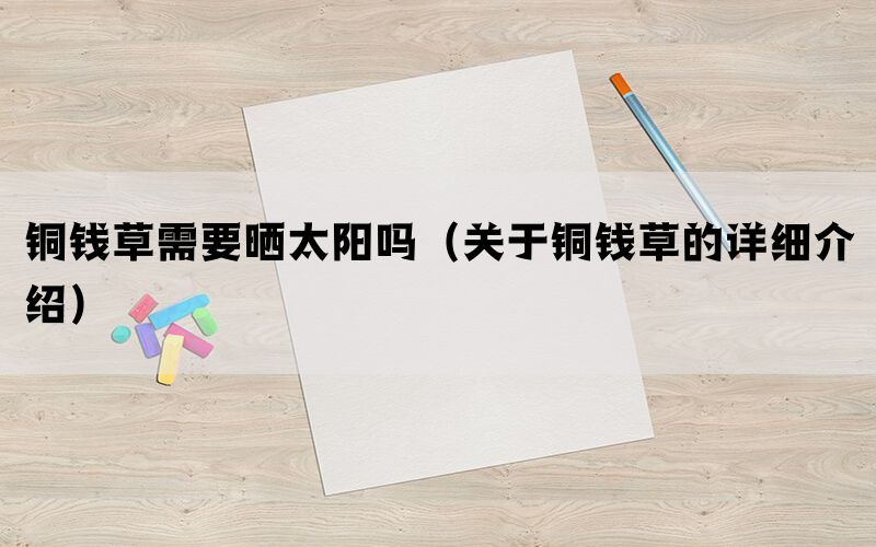 铜钱草需要晒太阳吗（关于铜钱草的详细介绍）(图1)