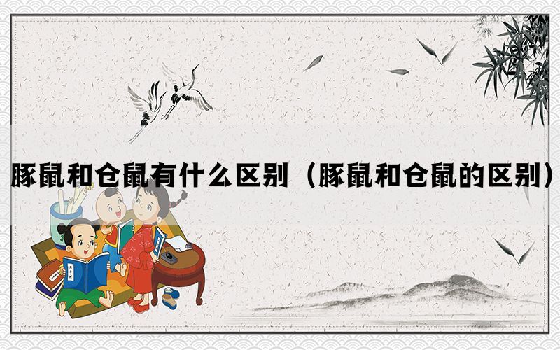 豚鼠和仓鼠有什么区别(豚鼠和仓鼠的区别) 豚鼠和仓鼠有什么区别(豚鼠和仓鼠的区别)
