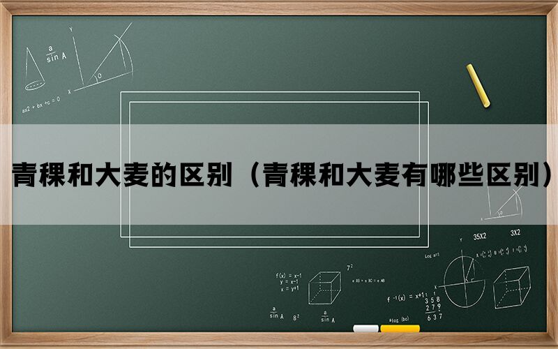 青稞和大麦的区别(青稞和大麦有哪些区别) 青稞和大麦的区别(青稞和大麦有哪些区别)