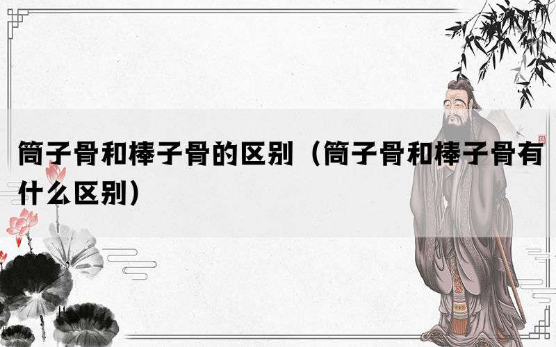 筒子骨和棒子骨的区别（筒子骨和棒子骨有什么区别）(图1)